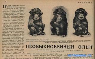 Обезьяна — Новейший сонник Иванова Обезьяна — Новейший сонник Иванова