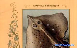 Рыба белая — Новейший сонник Иванова Рыба белая — Новейший сонник Иванова