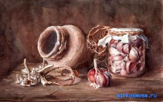 Чеснок — Новейший сонник Иванова Чеснок — Новейший сонник Иванова