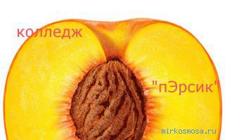 Персик — Новый семейный сонник Персик — Новый семейный сонник