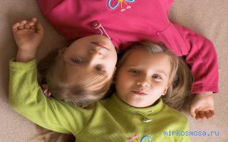 Близнецы — Новый семейный сонник Близнецы — Новый семейный сонник