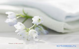 Стирка — Новый семейный сонник Стирка — Новый семейный сонник