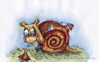 Улитка — Новый семейный сонник Улитка — Новый семейный сонник