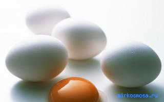 Яйцо — Новый семейный сонник