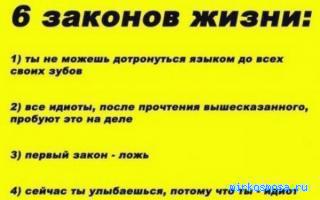 Идиот — Восточный женский сонник Идиот — Восточный женский сонник