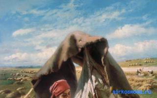 Коровы — Восточный женский сонник Коровы — Восточный женский сонник