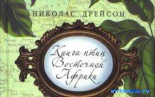 Птицы — Восточный женский сонник Птицы — Восточный женский сонник
