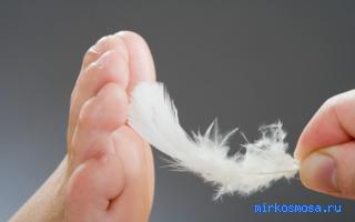 Щекотка — Восточный женский сонник Щекотка — Восточный женский сонник