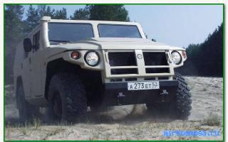 Тигр — Славянский сонник Тигр — Славянский сонник