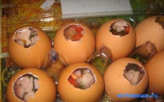Яйца — Современный сонник