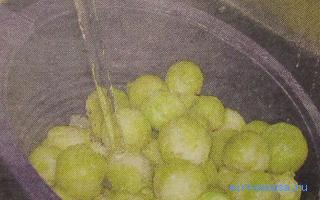 Капуста — Сонник влюбленных Капуста — Сонник влюбленных