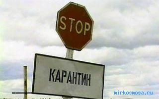 Карантин — Сонник Дениз Линн (краткий) Карантин — Сонник Дениз Линн (краткий)
