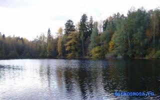 Озеро — Сонник Дениз Линн (краткий) Озеро — Сонник Дениз Линн (краткий)