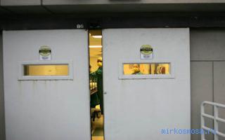 Доктор — Дворянский сонник Гришиной Доктор — Дворянский сонник Гришиной