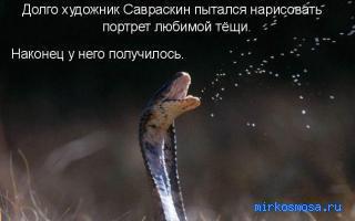 Плевать — Дворянский сонник Гришиной Плевать — Дворянский сонник Гришиной