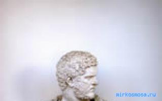 Бюст — Дворянский сонник Гришиной Бюст — Дворянский сонник Гришиной
