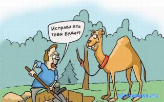 Горбатый — Сонник Здоровья Горбатый — Сонник Здоровья