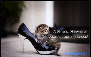 Клещи — Сонник крылатых фраз Клещи — Сонник крылатых фраз
