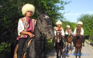 Наездник — Сонник Лонго Наездник — Сонник Лонго