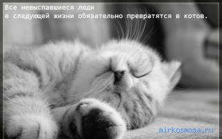 Сон — Сонник Лоффа Сон — Сонник Лоффа