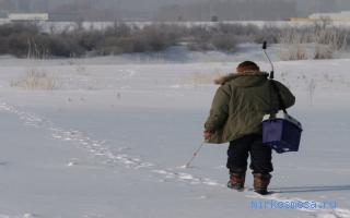 Выходить — Сонник Мартына Задеки Выходить — Сонник Мартына Задеки