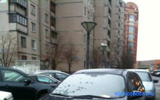 Волчок — Сонник Миллера Волчок — Сонник Миллера