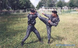 Бой — Сонник Миллера Бой — Сонник Миллера