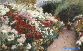 Хризантема — Сонник Миллера Хризантема — Сонник Миллера