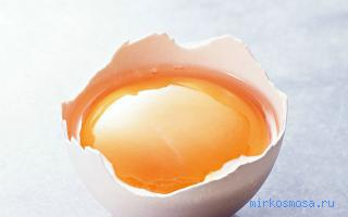 Яйца — Сонник Миллера