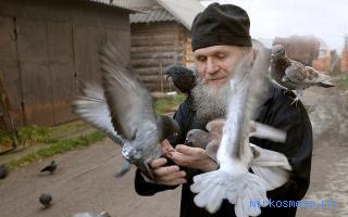 Монах — Сонник Нострадамуса Монах — Сонник Нострадамуса