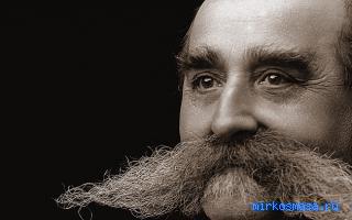 Бакенбарды — Сонник Соломона Бакенбарды — Сонник Соломона