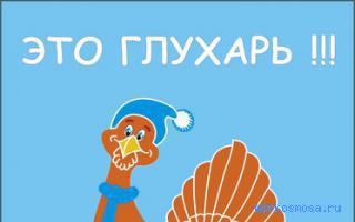 Глухарь — Сонник Странника Глухарь — Сонник Странника