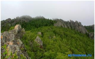 Гребень — Сонник Странника Гребень — Сонник Странника