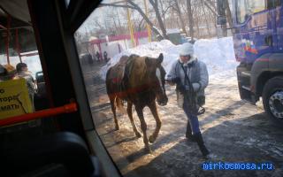 Автобус — Сонник Странника Автобус — Сонник Странника
