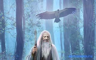 Коллекционирование — Сонник Странника Коллекционирование — Сонник Странника