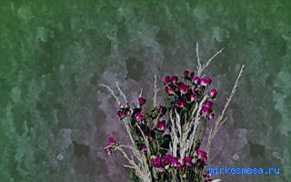 Молодость — Сонник Странника Молодость — Сонник Странника