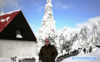 Борщ — Сонник Странника Борщ — Сонник Странника