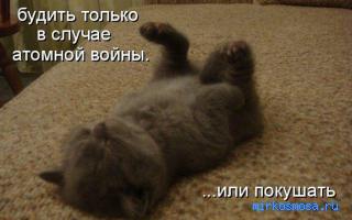 Будить — Сонник Странника Будить — Сонник Странника