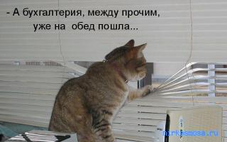 Гейзер — Сонник Фрейда Гейзер — Сонник Фрейда