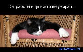 Веер — Сонник Фрейда Веер — Сонник Фрейда
