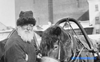 Лошадь — Древнерусский сонник Лошадь — Древнерусский сонник