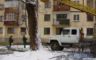 Пилить — Сонник Хассе Пилить — Сонник Хассе