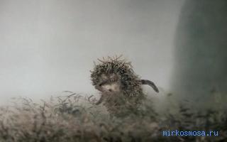 Туман — Сонник Хассе Туман — Сонник Хассе