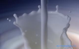 Молоко — Сонник Цветкова Молоко — Сонник Цветкова