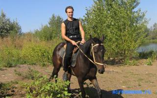 Верхом — Сонник Шиллера-Школьника Верхом — Сонник Шиллера-Школьника