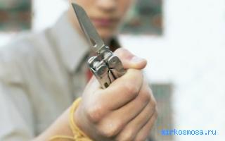 Грабитель — Сонник Шиллера-Школьника Грабитель — Сонник Шиллера-Школьника