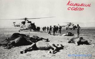 Караван — Сонник Шиллера-Школьника Караван — Сонник Шиллера-Школьника