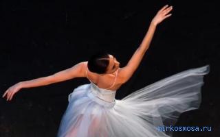 Балет — Сонник Шиллера-Школьника Балет — Сонник Шиллера-Школьника