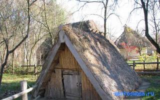 Погреб — Сонник Шиллера-Школьника Погреб — Сонник Шиллера-Школьника