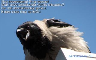 Ворон — Сонник Эзопа Ворон — Сонник Эзопа